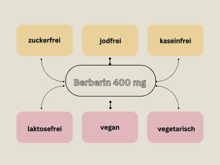 Берберин 400мг Веганские Капсулы Aliness
