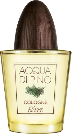 Туалетная вода Pino Silvestre Acqua di Pino Fougere