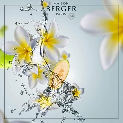 Дополнительный наполнитель Maison Berger Аромат Аква Свежесть