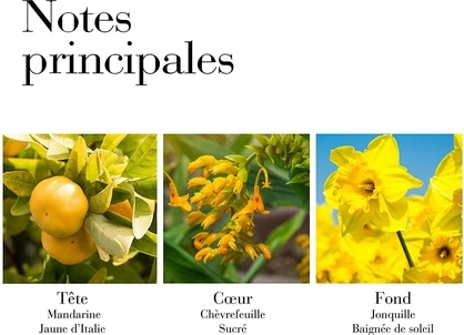 Туалетная вода Elizabeth Arden Sunflowers Sunlight Kiss