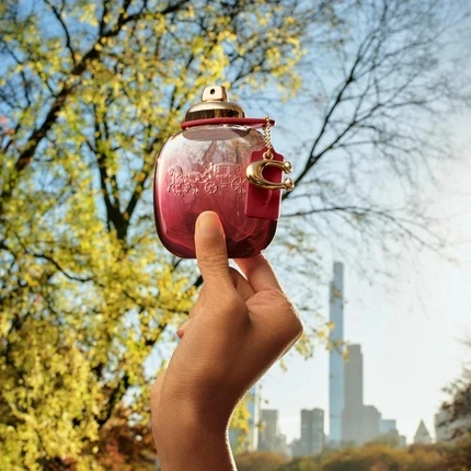Набор в подарочной упаковке Eau De Parfum Coach Wild Rose