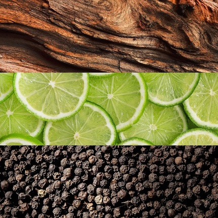 Туалетная вода Lacoste Essential