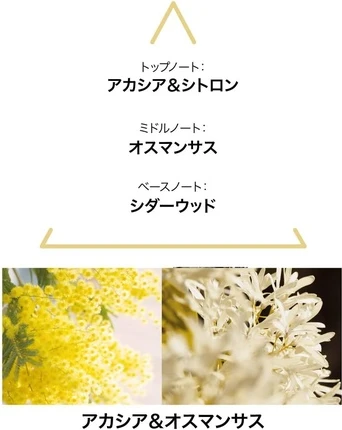 Туалетная вода Le Couvent Maison De Parfum Aqua Majestae