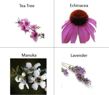 Увлажняющая сыворотка The Organic Pharmacy Skin Refining Care