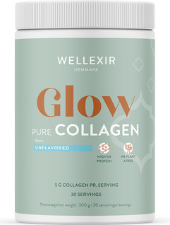 Коллагеновый порошок Wellexir