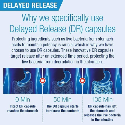 Lamberts Biome Balance Everyday 10 Billion CFU с Lactobacillus