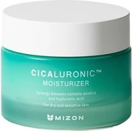 Moisturizing Cream Mizon Cicaluronic
