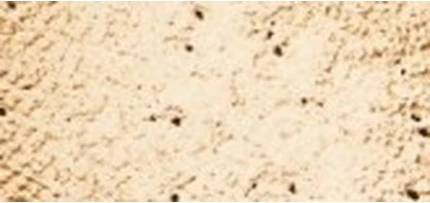 Рассыпчатая минеральная пудра-основа Inika Organic Loose Mineral Powder Makeup Spf 25