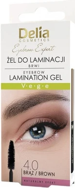Eyebrow Gel Delia Cosmetics Brow Expert