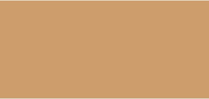Сывороточная тональная основа Inika Organic Natural Light Care