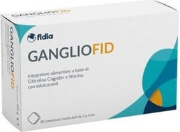 Добавка Fidia Farmaceutici Gangliofid Memory