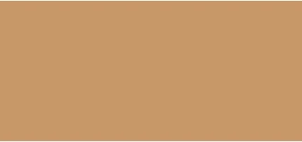 Сыворотка-Тональная Основа Inika Organic