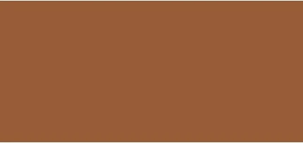 Бронзирующая Пудра Pola Cosmetics Bronzing Powder