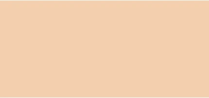 Консилер Pola Cosmetics Smooth Camouflage Concealer
