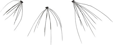 False Eyelashes Kiss Haute Couture Individual Lash Clusters