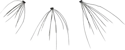 False Eyelashes Kiss Haute Couture Individual Lash Clusters