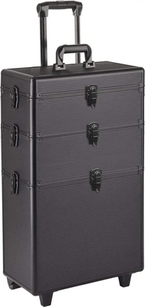 Набор для укладки Efalock Tool Case Black Assist
