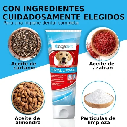 Гель Bogadent Dental Lipo Gel