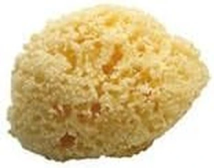 Банная губка Koh-I-Noor
