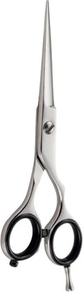 Ножницы для волос Xanitalia Iwasaki Master Offset 6