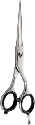 Ножницы для волос Xanitalia Iwasaki Master Offset 6