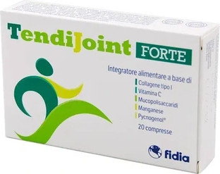 Таблетки Fidia Tendijoint Forte