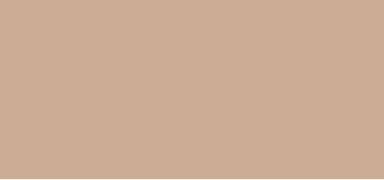Тональный крем и консилер Foundation Dermacol Infinity Super Coverage Photo-Friendly Waterproof Touc Proof SPF 15 02 Beige