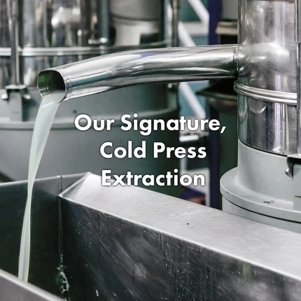 Маска для волос Rated Green Cold Press Tamanu Oil Успокаивающая для кожи головы