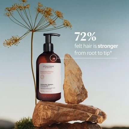 Шампунь L'Occitane Интенсивное Восстановление