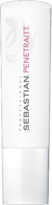 Кондиционер Sebastian Professional Penetraitt