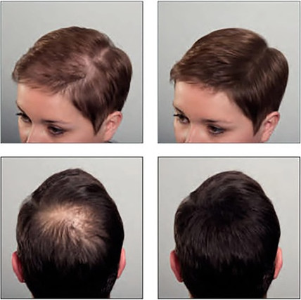 Wax Sibel Hair Sculptor Black