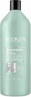Шампунь Redken Amino Mint