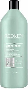 Шампунь Redken Amino Mint