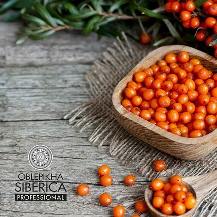 Маска для волос Natura Siberica Professional