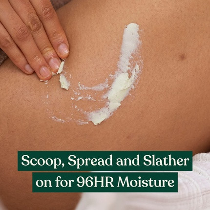 Body Butter The Body Shop Shea