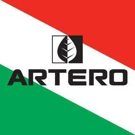 Лак для волос Artero