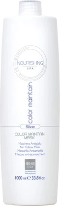 Маска для волос Ever Ego Silver Color Maintain Mask