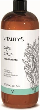 Шампунь Vitality's Care & Scalp Purifying Shampoo