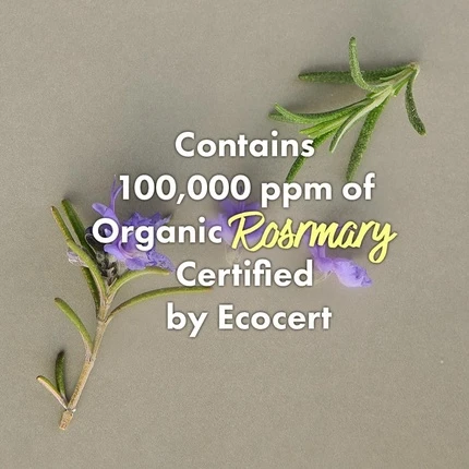 Средство для кожи головы Rated Green Cold Brew Rosemary Балансирующее