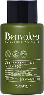 Шампунь Alfaparf Milano Benvoleo Glossy