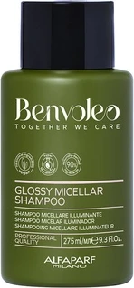 Шампунь Alfaparf Milano Benvoleo Glossy