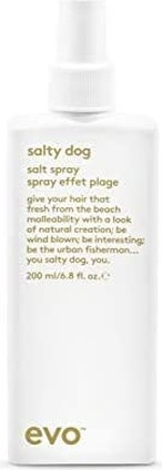 Спрей для укладки evo Salty Dog