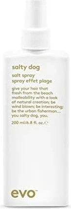 Спрей для укладки evo Salty Dog