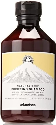 Шампунь Davines Ntech Purified