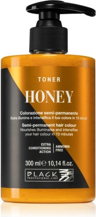 Тонирующая пудра Black Professional Line Honey