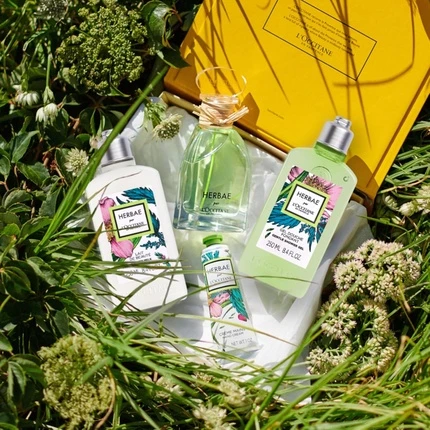 Увлажняющий лосьон для тела L'Occitane Herbae