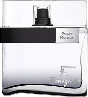 Туалетная вода Salvatore Ferragamo F Black