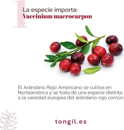 Витаминный комплекс Tongil
