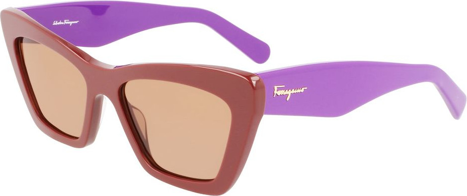 Солнцезащитные очки из ацетата Ferragamo