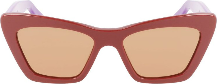 Солнцезащитные очки из ацетата Ferragamo